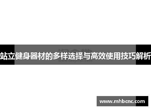 站立健身器材的多样选择与高效使用技巧解析