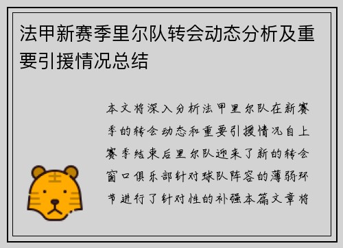 法甲新赛季里尔队转会动态分析及重要引援情况总结