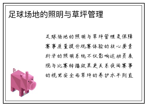 足球场地的照明与草坪管理