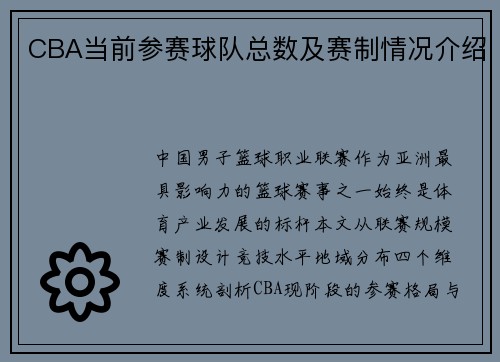CBA当前参赛球队总数及赛制情况介绍