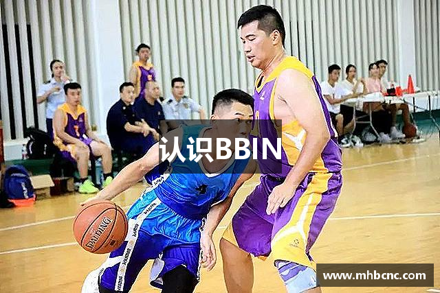认识BBIN